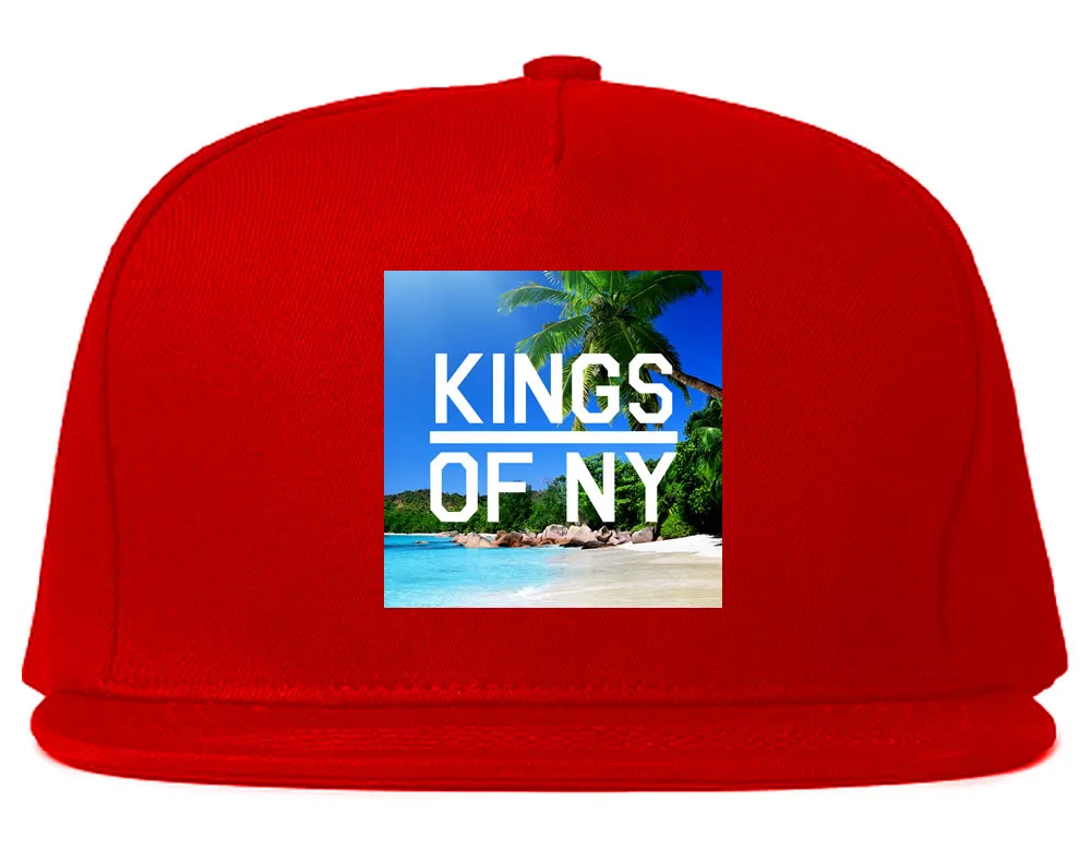 Beach Vacation Box Logo Mens Snapback Hat