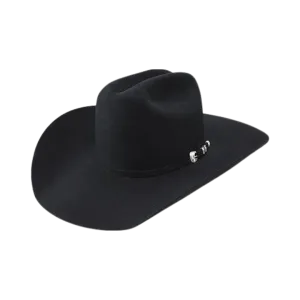 Resistol Mens 100X Premium Beaver Felt Black Cowboy Hat