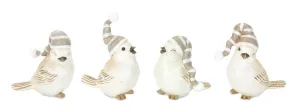 Winter Stocking Hat Bird